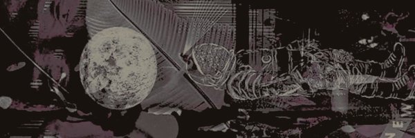 sunrots Profile Banner