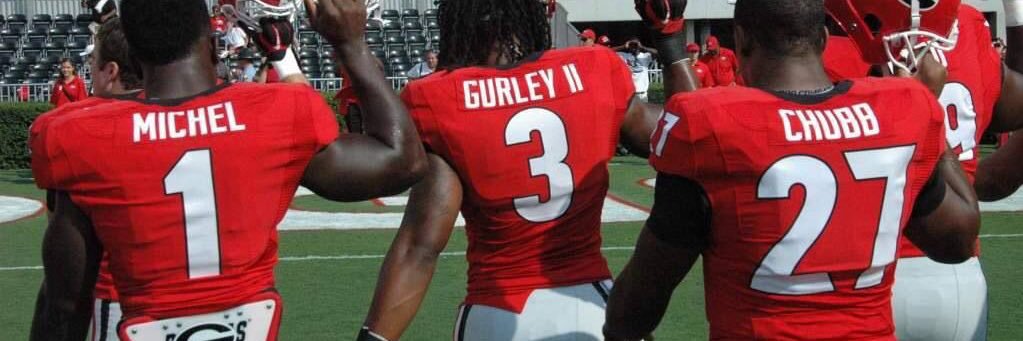 Go Dawgs banner