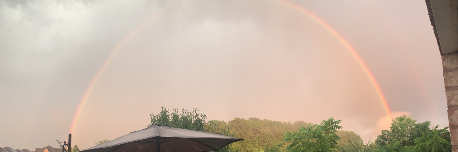 AnamatedGirl's profile banner image