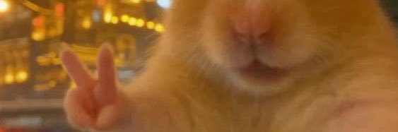mer banner