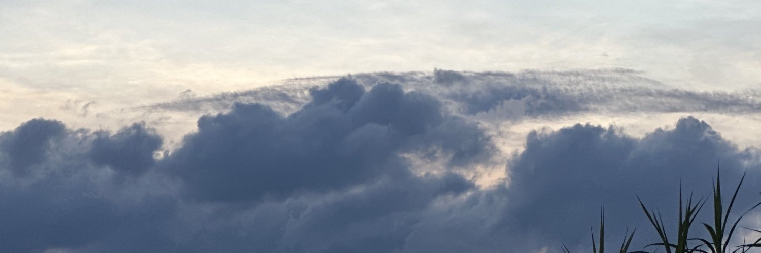 Evin99068's profile banner image