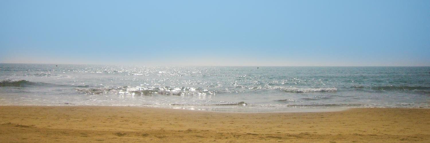 Medland_Spain's profile banner image