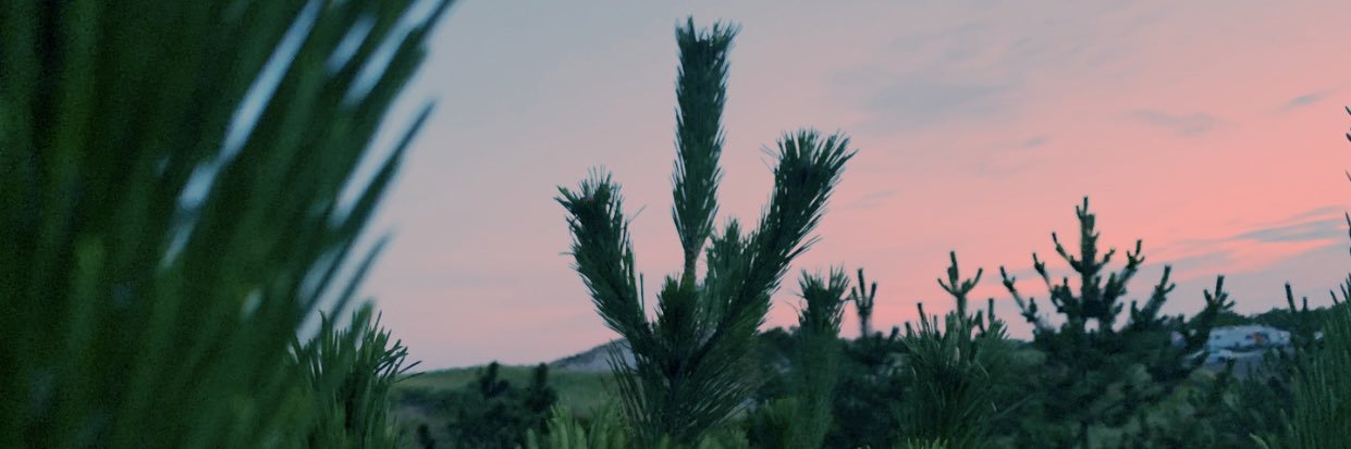 sarrachaa's profile banner image
