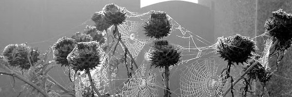 Ban_Bang Profile Banner