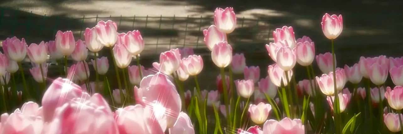 6chularat's profile banner image