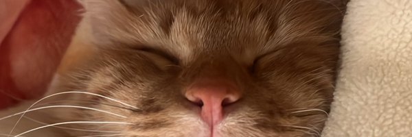 f5vei Profile Banner