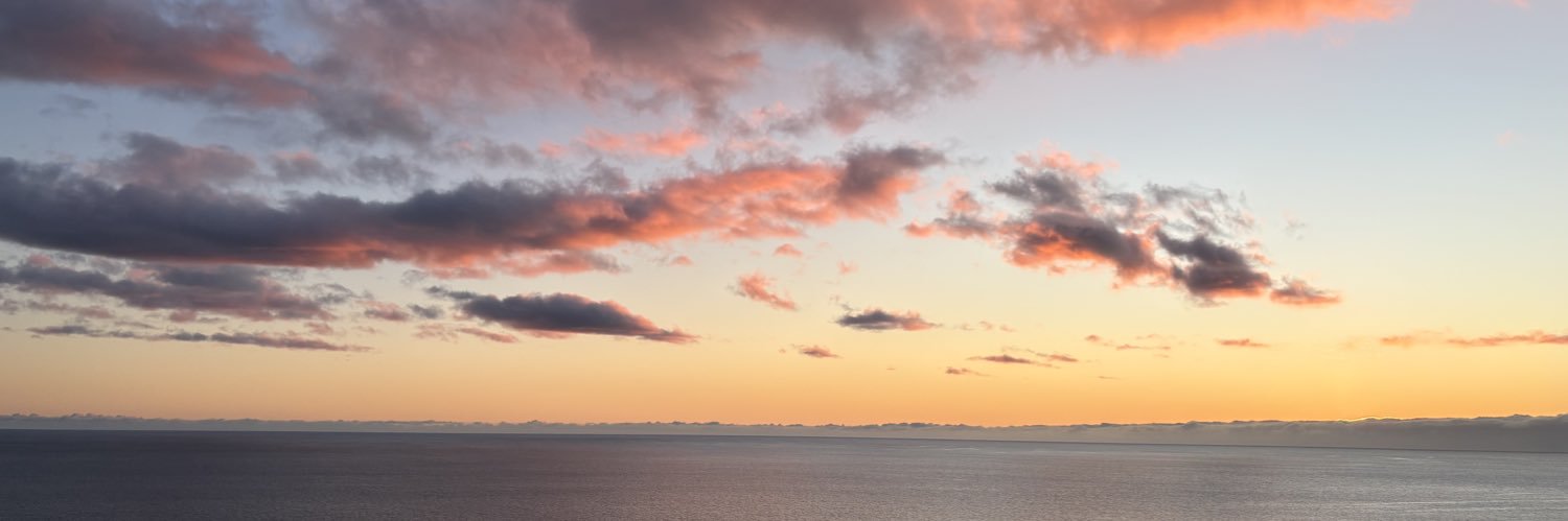 tanifernands's profile banner image
