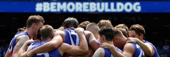 Woody_Dogs's profile banner image