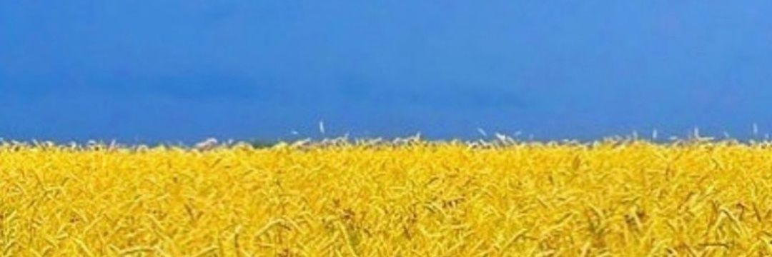 Akireab's profile banner image