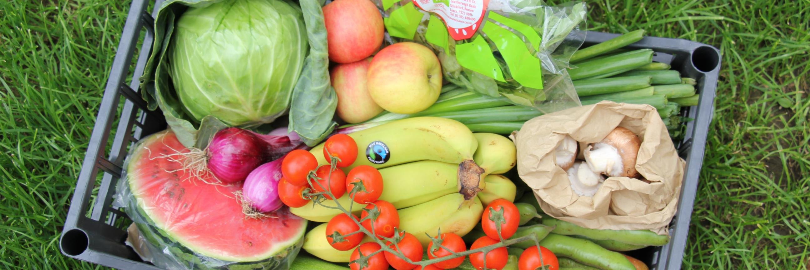 Foodlifeorganic's profile banner image