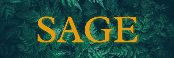 sage_teacher Profile Banner