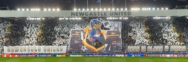 lisamole Profile Banner