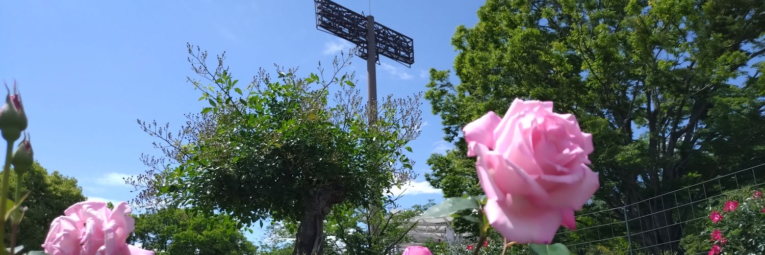 okura🐦 banner