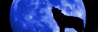 fi__78's profile banner image