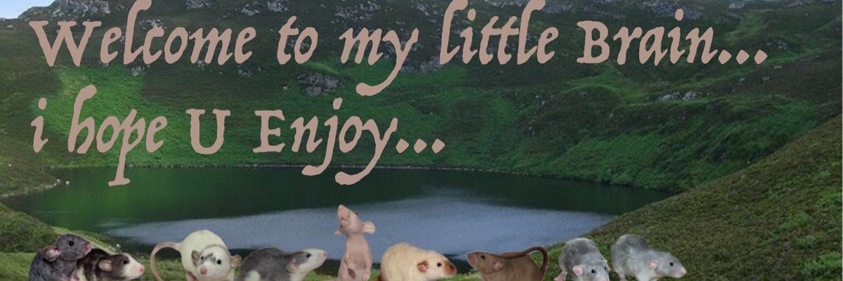 gabbrogrubbs's profile banner image