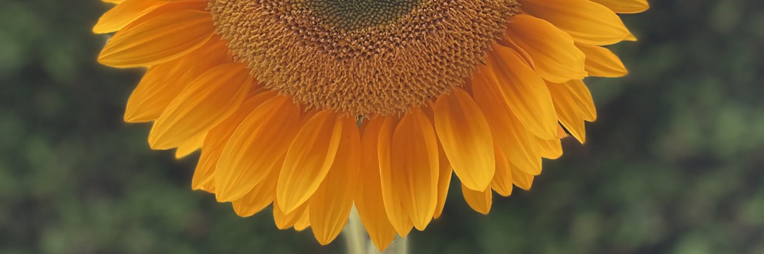 CHESCAmusic's profile banner image