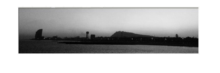 Toni de Fort Pienc i SF banner