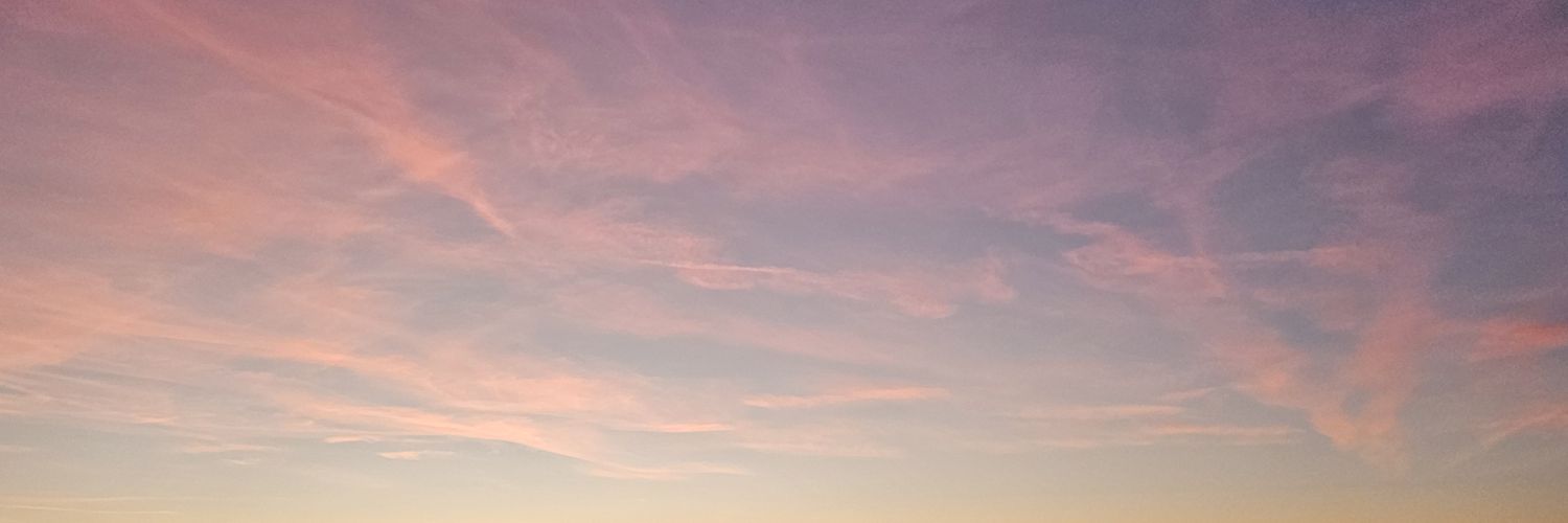 Maya Busqué banner