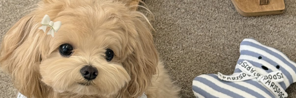 不吃麦当劳 banner