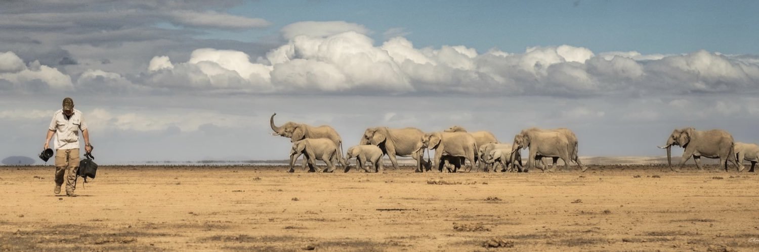 Chris DANDURAND Wildlife Photographer (@DandurandChris) / Posts / X