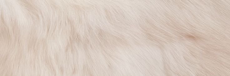 I0verychu's profile banner image