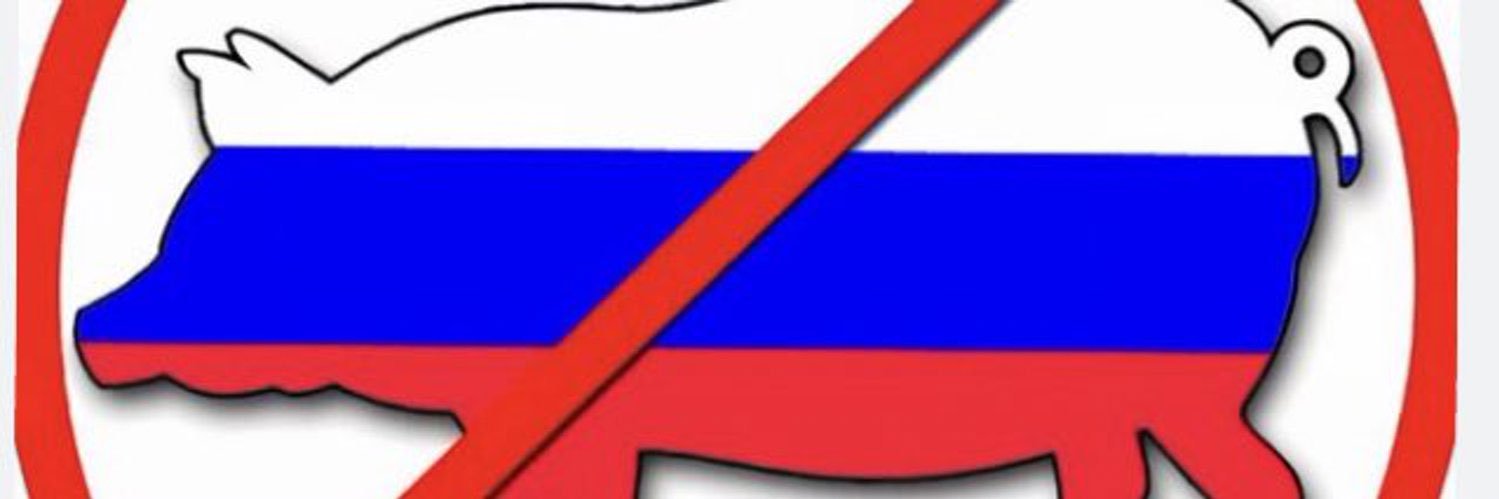 pmielipide2's profile banner image