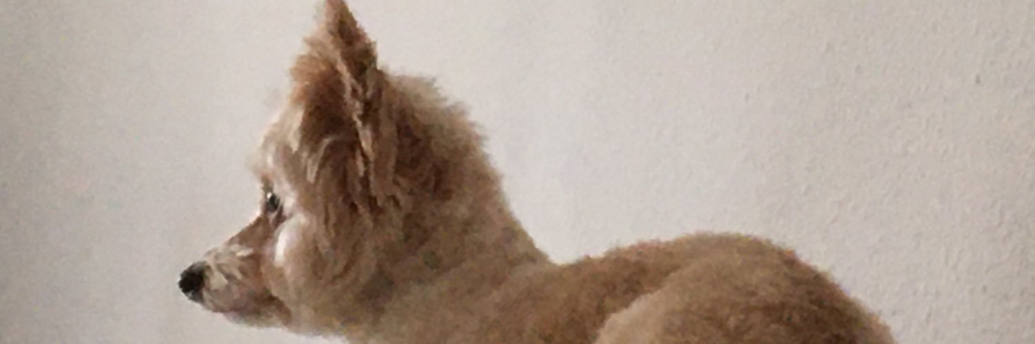 Kammarti Richard #TAEM banner