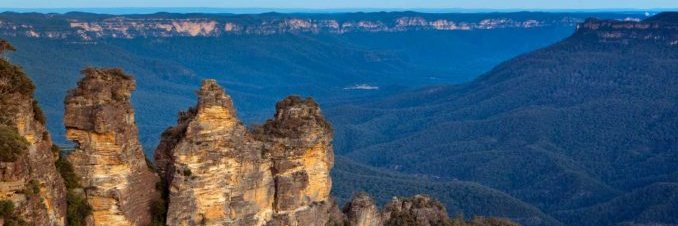 Francis O'Callaghan banner