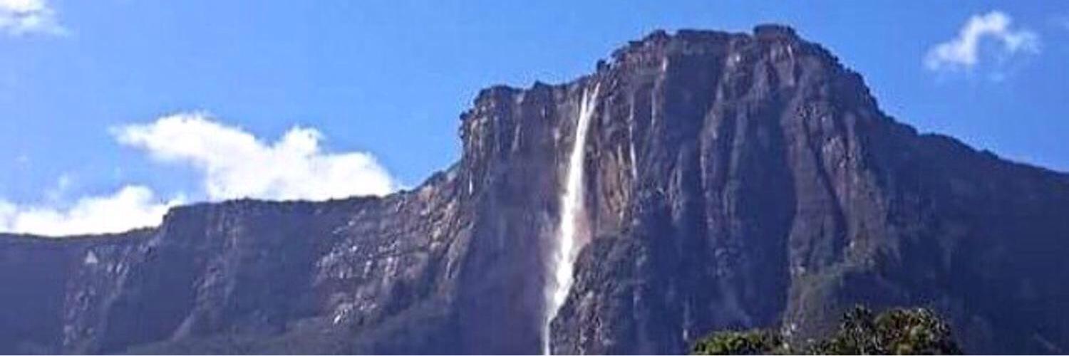 Elvis Ali Contreras banner