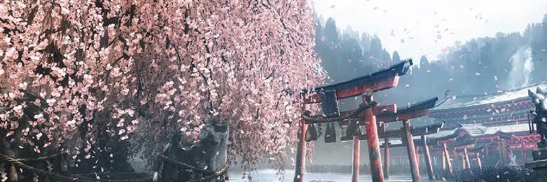 neo banner