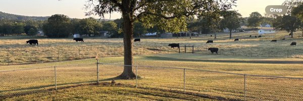 Badams820 Profile Banner