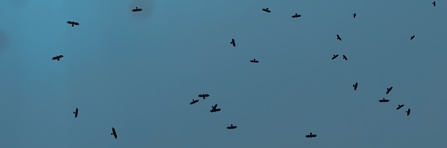 drdarbarr's profile banner image