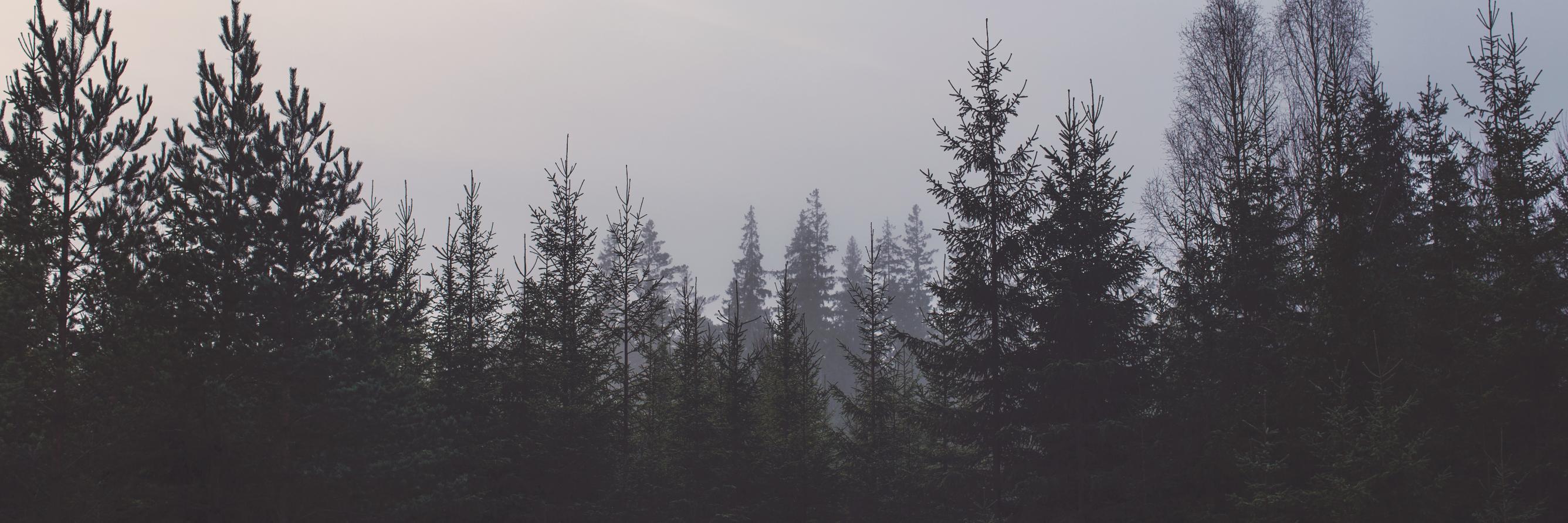 Dathink's profile banner image