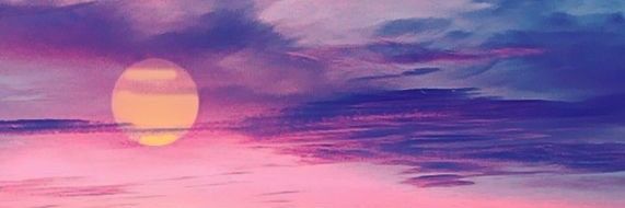 BisexualLover03's profile banner image