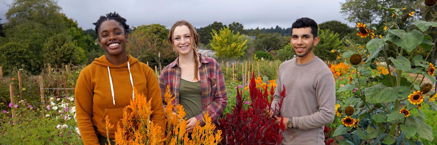 CCOForganic's profile banner image