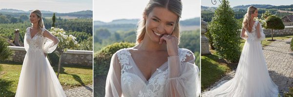 dreamdressyorks Profile Banner