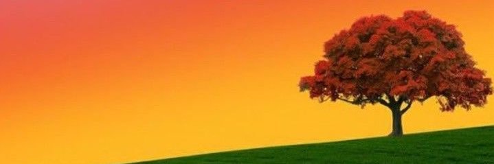 ShazriH's profile banner image