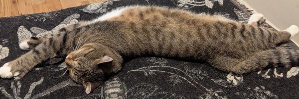 cookies_mitts Profile Banner