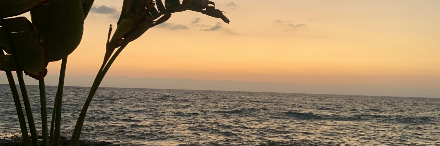 gracekgk's profile banner image