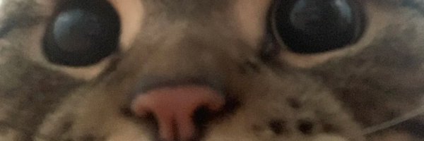 liazzgo Profile Banner