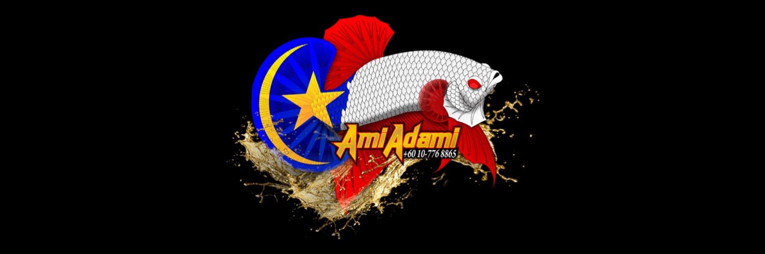 AmiAdami's profile banner image