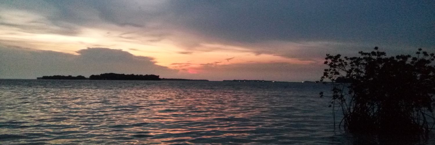 sadraananda's profile banner image