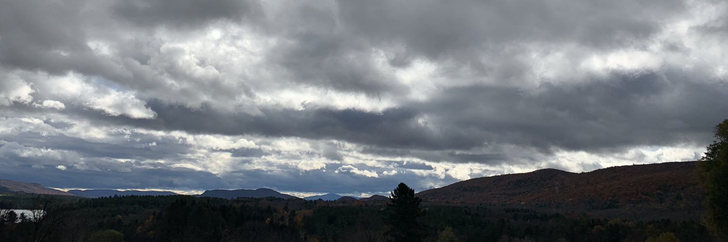 erigann's profile banner image