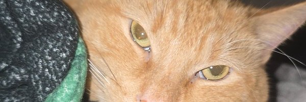 Simbastinks Profile Banner