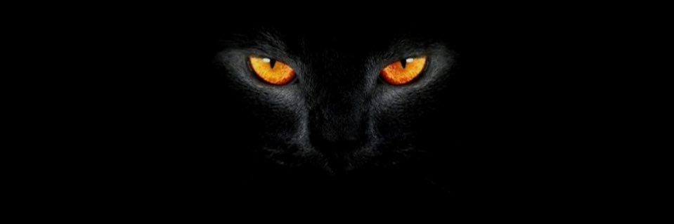 J. Ricardo K. banner