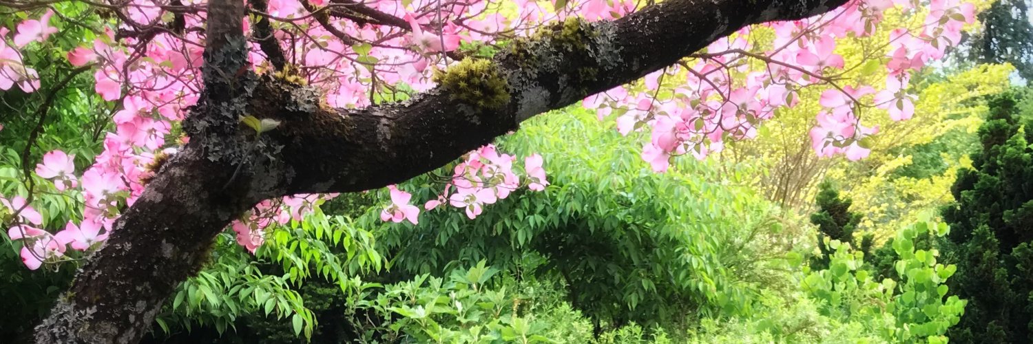 AlyseLansing's profile banner image