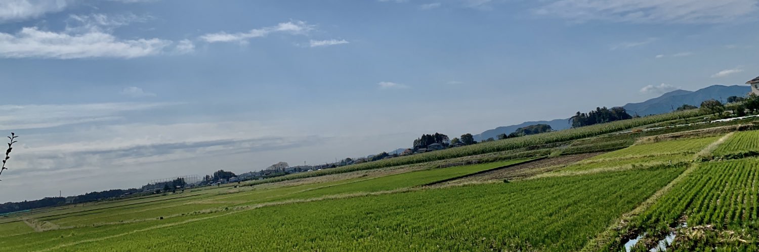 rika_rabi's profile banner image