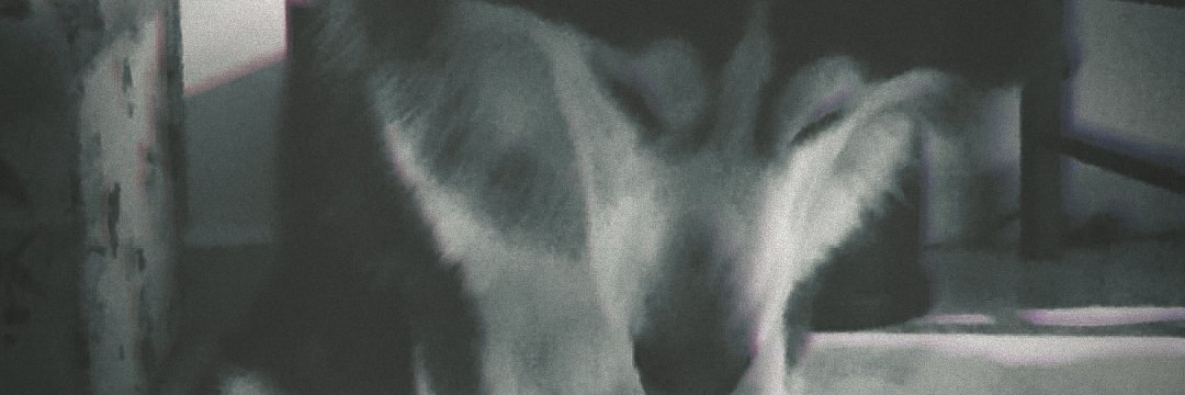 JJos3N's profile banner image