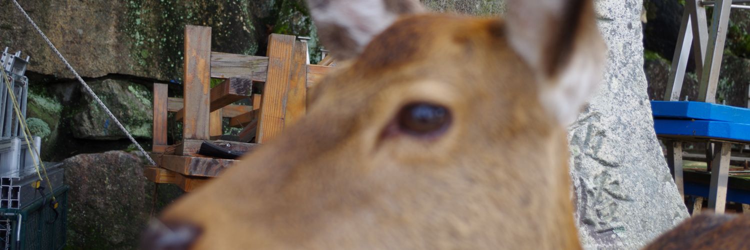 M0530y's profile banner image
