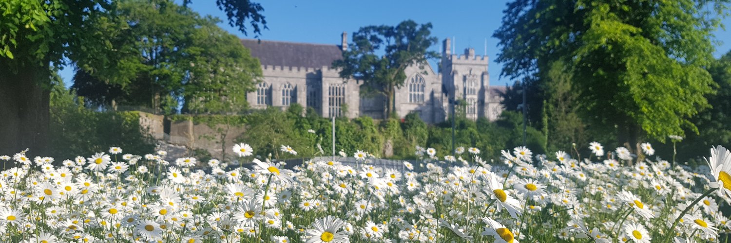 Stephen Hutton banner